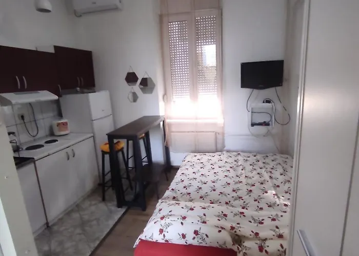 Trivanovic 2 Sa Galerijom